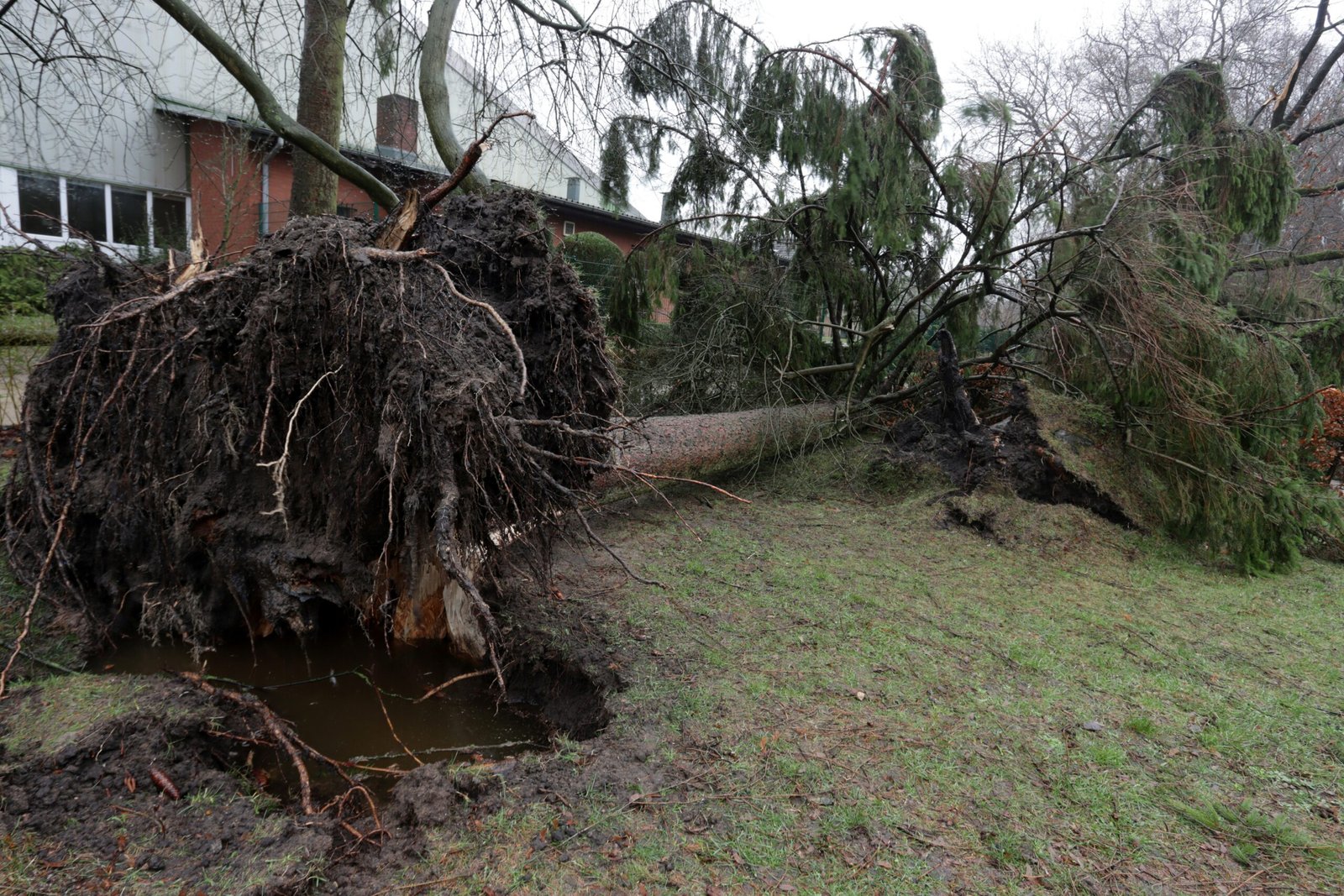 Emergency Tree Service in Lancaster, Ohio